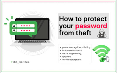 How to protect your password from theft